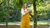 Clothing for plus size figure