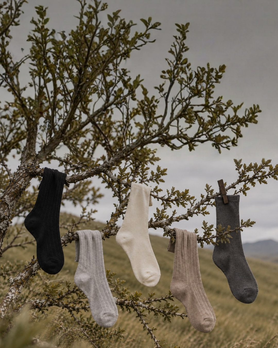 Five knitted socks in shades of black, light grey, cream, tan, and dark grey hang from the leafy branches of a small, rustic tree. A cloudy sky and rolling hills are softly blurred in the background.